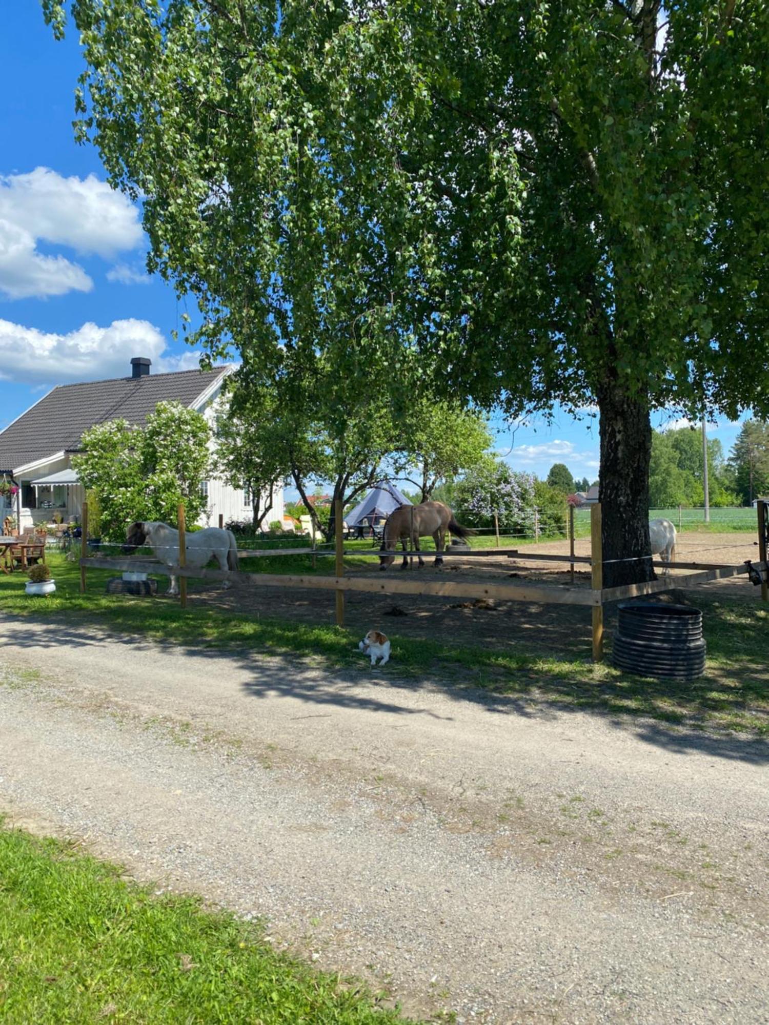 Villa Sundby Fjordhestgard Garder Exterior foto